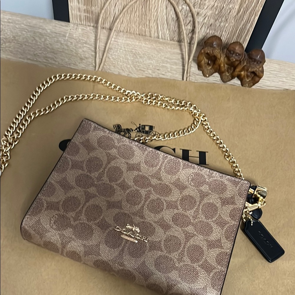 Coach Slim Brown Signature Chain Crossbody Bag